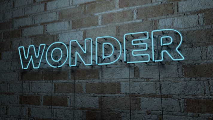 This Summer Share Wonder!